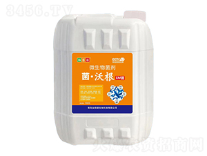 ΢�������-���ָ�-������