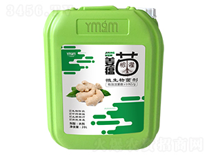 ������(zhu��n)��΢�������-�~������