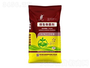 ̼ø�ָ���΢�������-��Ԫ��ʢ