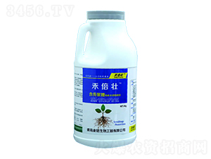 4kg�̱��Ѻ��������ЙC(j��)ˮ���Է���-�������