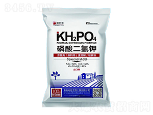 ���ڼ�(j��)��������-�������