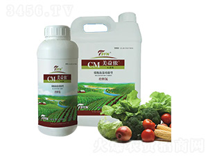 ̼ø���幦���Ϳ�ጵ�-����z-�������r(n��ng)