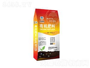 �ЙC(j��)����-��ػ�ɭ-��ɭ����