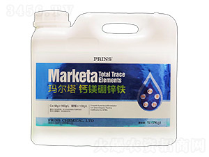 �������}�V���\�F