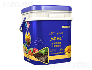 ���徫�A��΢�������-��������-�P���� 