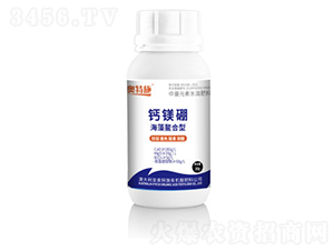 �}�V��-�W��ʩ