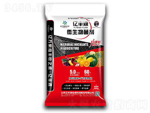 40kg΢�������-�|�SԴ