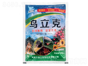 �B���ˣ�����-��� �����