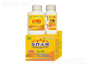 ���o(w��)�n(y��u)-С����ϲ��(zhu��n)��-�ɰ�����