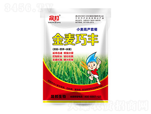 �������SС���߮a(ch��n)�ײ�-�ɰ����� 