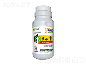 500g����S-�S��Դ