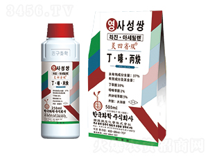 37%����ມ���Ȳ-�`��ʡ�p-�n���n��