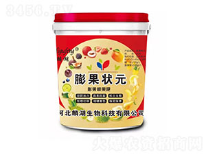 ����n����-�����Ԫ-�������