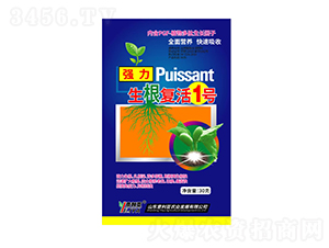 ������(f��)��1̖-������