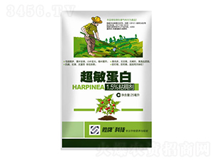 ��������-ِ�(y��ng)����