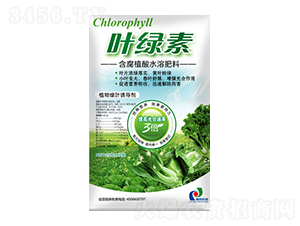 ����ֲ��ˮ�ܷ���-�~�G��-ِ�����