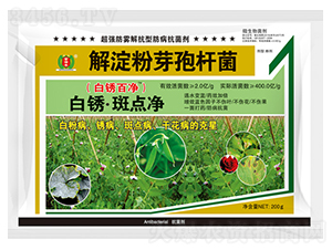 ���C�����c��-�����S