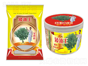 �Ͳ˷N��-������(����2̖)-��̷N�I(y��)