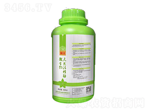 ���΢������Ȼ����ø-�̵�