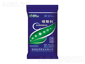 �����S����������-��˹��-�P�_�ʘI(y��)