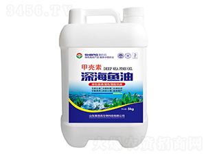 �ך�����~��-ʩ�۸�