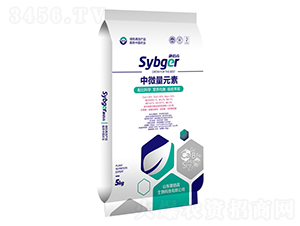 ��΢��Ԫ��-ʩ�۸�