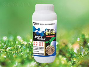 ����-�ٿ��S