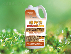 �����h-�ٿ��S