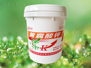 �S�����-�ٿ��S