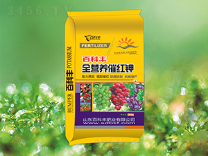 ȫ�I(y��ng)�B(y��ng)�߼t�-�ٿ��S