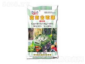 ������ߵ������-���ʘI(y��)