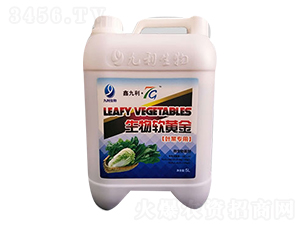 �~�ˌ��Û_ʩ����-����ܛ�S��-�����ʘI(y��)