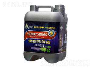 ���ӌ��Û_ʩ����-����ܛ�S��-�����ʘI(y��)