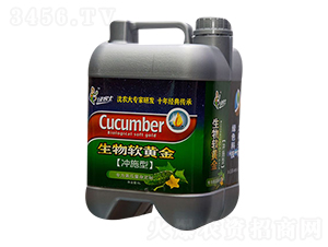 �S�ό��Û_ʩ����-����ܛ�S��-�����ʘI(y��)