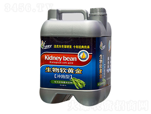 ���ǌ��Û_ʩ����-����ܛ�S��-�����ʘI(y��)