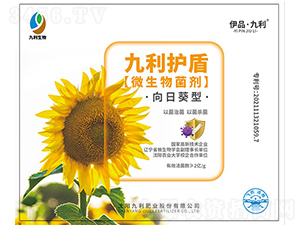 ���տ���΢�������-�����o��-�����ʘI(y��)