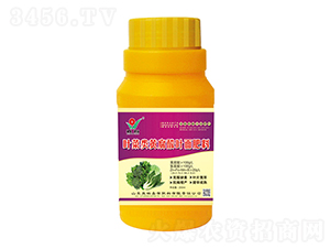 ƿ�b�~����S�����~�����-��Ȫ��