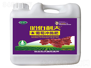 ���ь��Û_ʩ��-��������