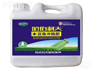 ���ǌ��Û_ʩ��-��������