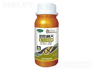 �R��팣��-��������