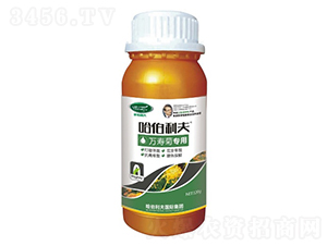 �f�۾Ռ���-��������