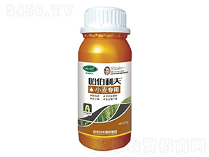 С������-��������