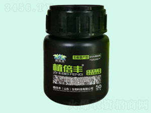 ����һСƿ-ֲ���S