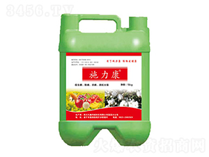 ʩ�����_ʩ��-���ο���