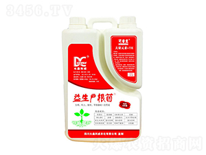 ����������-���ο���