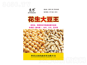 ��������-ͨʩ-���ο���