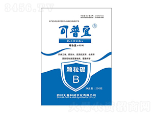 �w����-������-���ο���