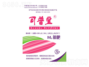 ���f��-������-���ο���