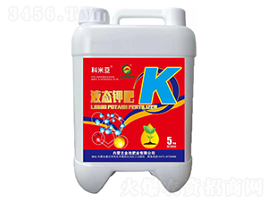 Һ�B(t��i)⛷�-���ׁ�-��طʘI(y��)