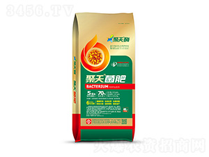 �������-���r(n��ng)�d̩